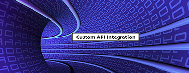 API Integration